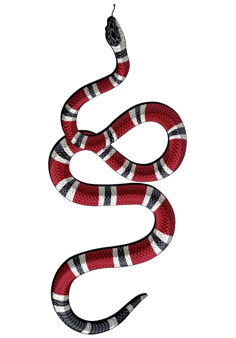 gucci snakes wallpaper|gucci snake transparent.